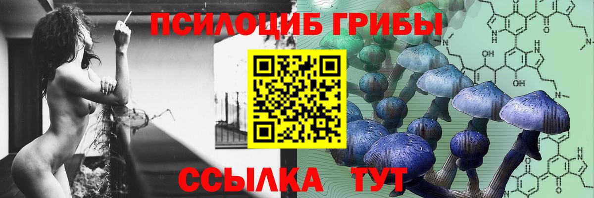 Касимов  Псилоцибиновые грибы мухоморы  Вход с VPN 